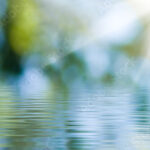 AdobeStock_282596489_Preview